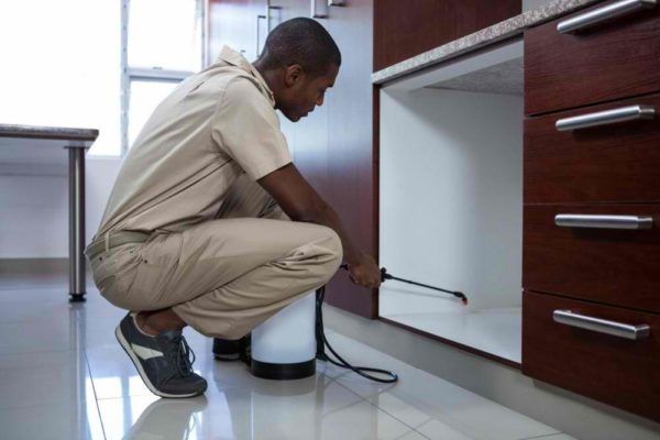 pest control man spraying pesticide