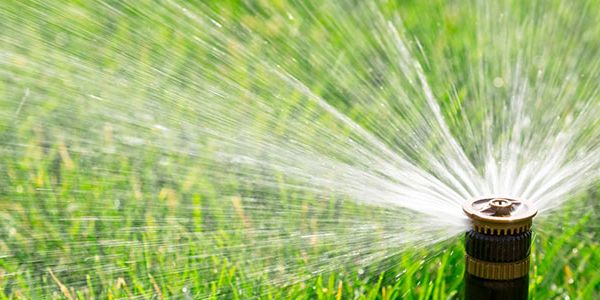 Lawn Irrigation Services