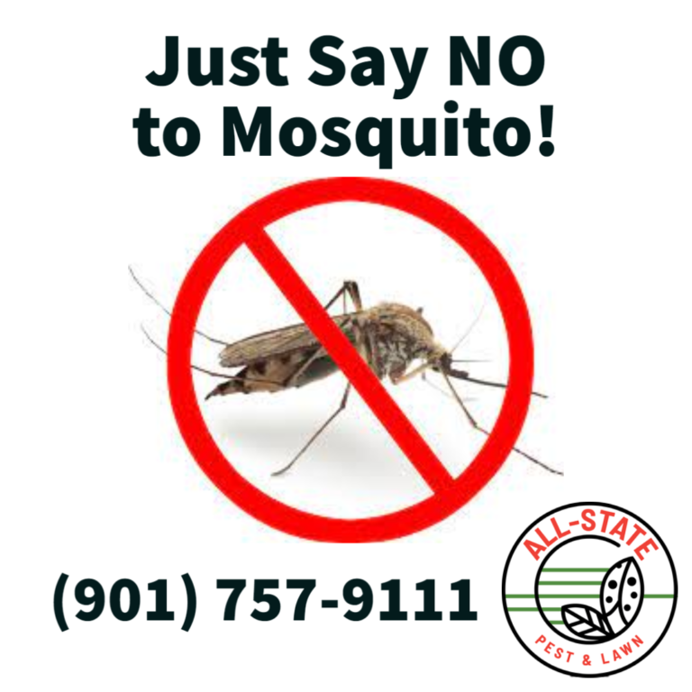 mosquito-control-by-all-state-pest-and-lawn